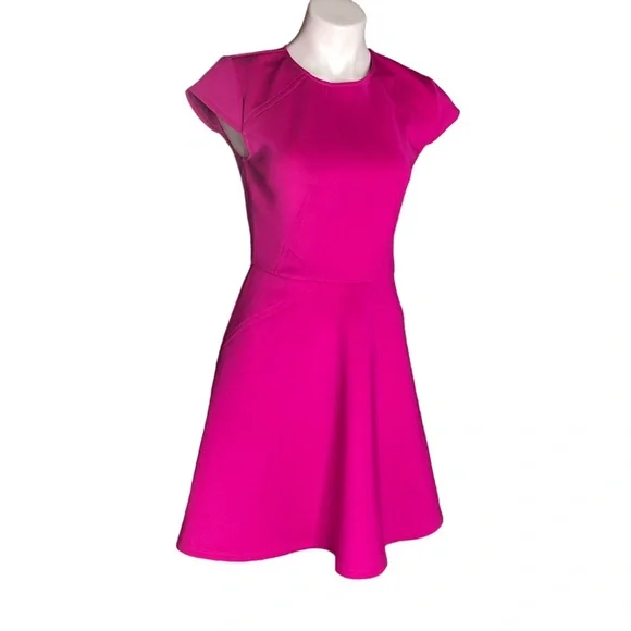 Ted Baker London Hot Pink EEBRR Fit & Flare Stretch Dress Full Skirt Cap  Sleeves